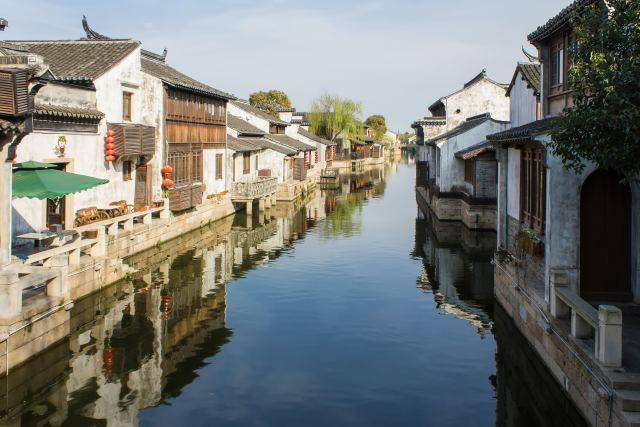 奔跑的兔子